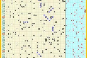 称骨三两九钱2025年05月29日贵人运解析