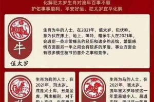 骨重四两七钱2025年05月26日与什么骨相能互补