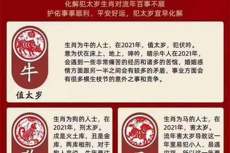 骨重四两七钱2025年05月26日与什么骨相能互补