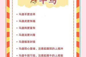骨重四两六钱2025年05月23日贵人运解析