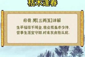 骨重五两一钱2025年05月25日与什么骨相能互补